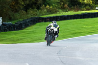 PJ-Motorsport-Photography-2020;anglesey;brands-hatch;cadwell-park;croft;donington-park;enduro-digital-images;event-digital-images;eventdigitalimages;mallory;no-limits;oulton-park;peter-wileman-photography;racing-digital-images;silverstone;snetterton;trackday-digital-images;trackday-photos;vmcc-banbury-run;welsh-2-day-enduro